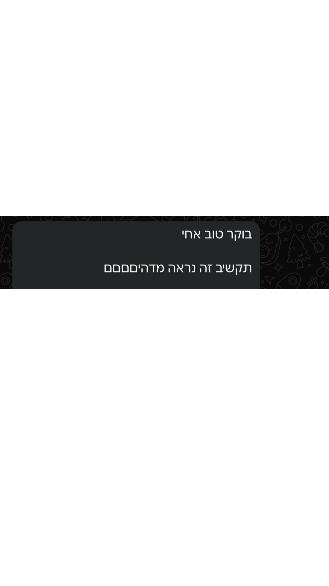 דוגמה לעמוד נחיתה שבנינו #4