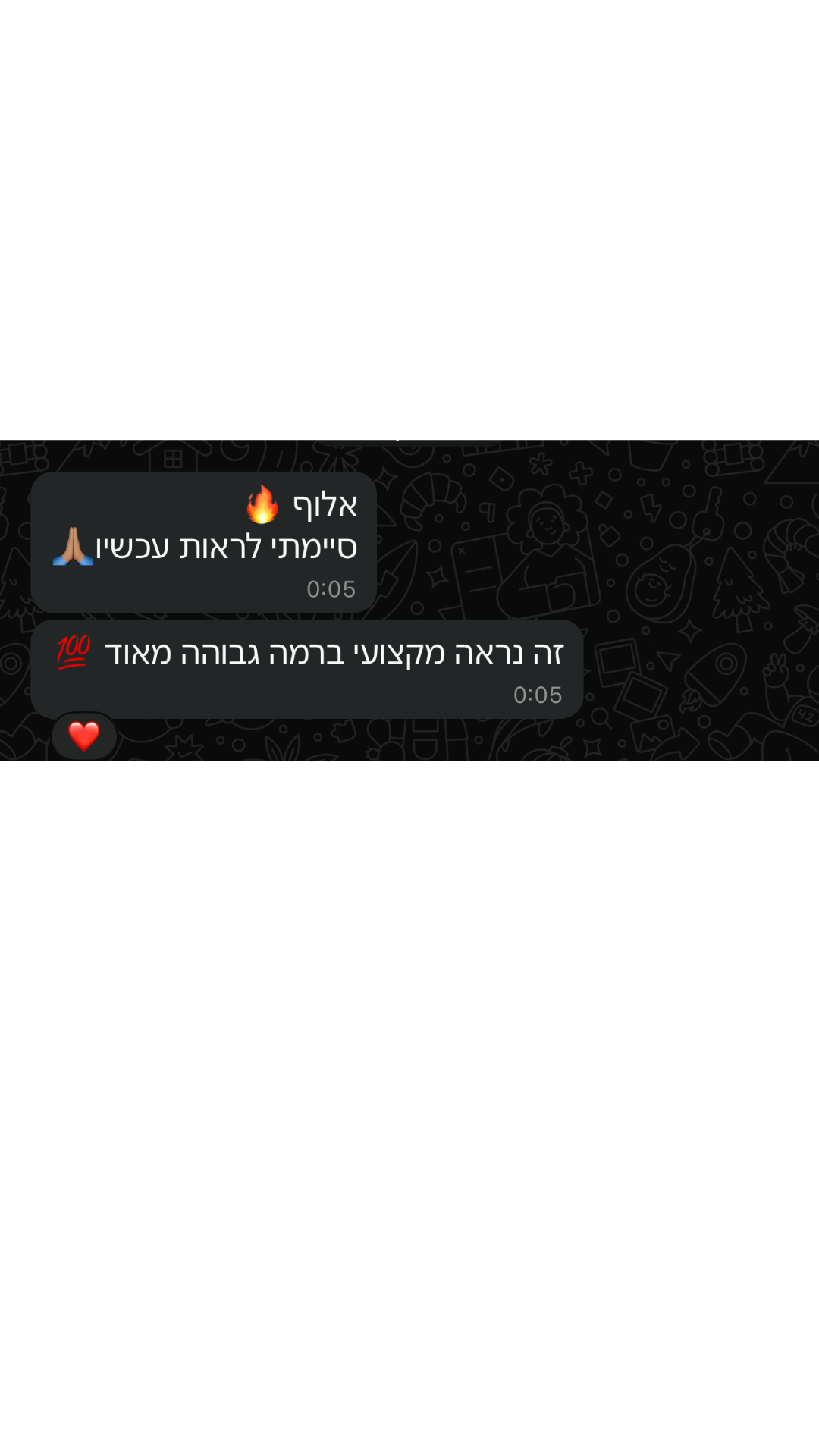 דוגמה לעמוד נחיתה שבנינו #5